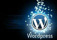 آموزش تخصصی wordpress